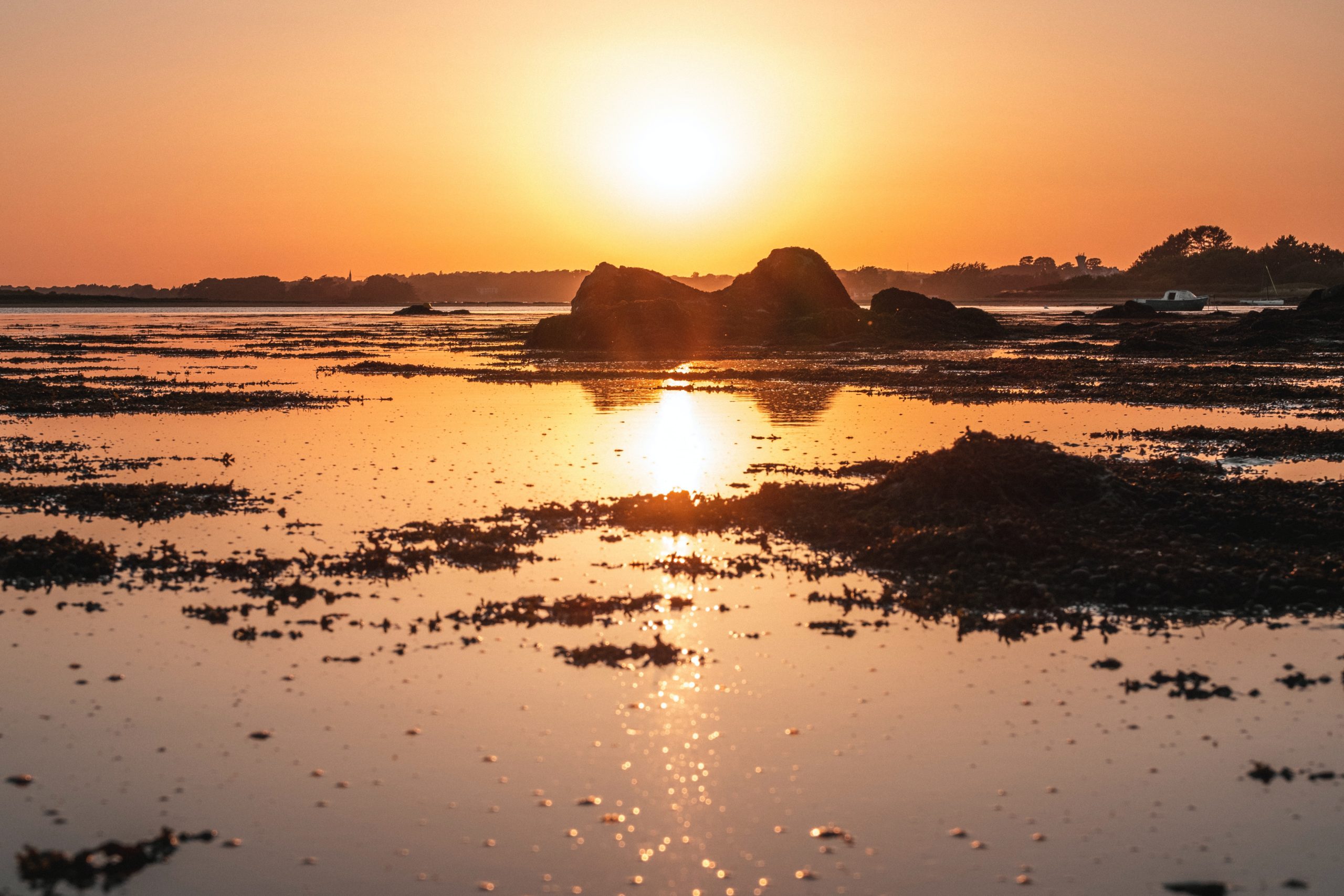 Arrière-plan